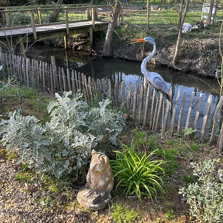 לינה וארוחת בוקר L'auberge'inn