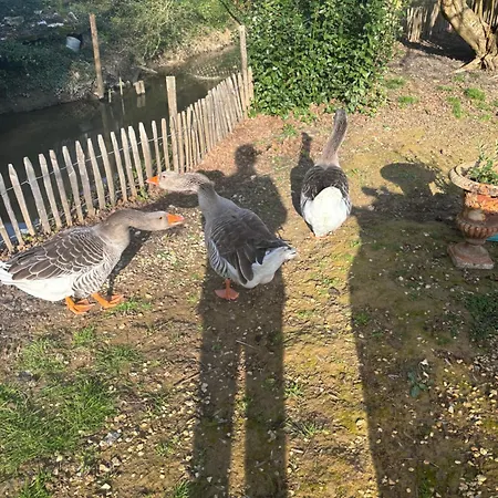 לינה וארוחת בוקר L'auberge'inn 3*